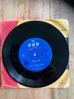 Piraten Schlager Instrumentaal Rudy Wairata Kealoha Hawaiian, Cd's en Dvd's, Ophalen of Verzenden, Gebruikt, Pop