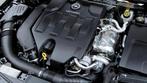 Kleppendeksel Insignia OPC 2.8 V6 turbo, Ophalen of Verzenden, Nieuw