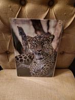 Panter wandbord, Ophalen of Verzenden, Nieuw