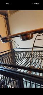 Papegaaien kooi, Ophalen of Verzenden, Zo goed als nieuw, Metaal, Vogelkooi