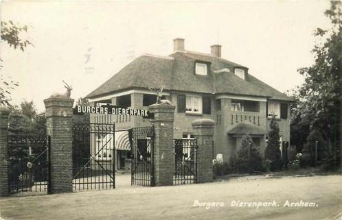 (377-505-031) Arnhem Burgers Dierenpark, Verzamelen, Ansichtkaarten | Nederland, Gelderland, Verzenden