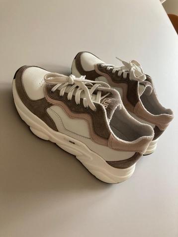 HUB sneakers toffe schoenen rock maat 36 laag wit grijs roze beschikbaar voor biedingen