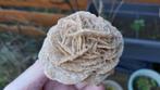FM41 Woestijnroos Seleniet Marokko #collectie #verzameling, Verzamelen, Mineralen en Fossielen, Ophalen of Verzenden, Mineraal