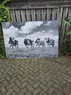 Groot Canvas Koeien Schilderij 210x140, Oorspronkelijke maker, 125 cm of meer, Ophalen of Verzenden, 75 cm of meer