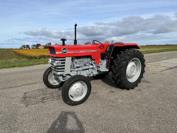 Massey Ferguson 165 beschikbaar voor biedingen