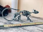 Rat skelet, Verzamelen, Ophalen of Verzenden