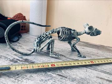 Rat skelet beschikbaar voor biedingen