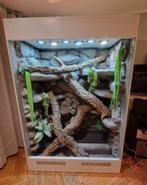 Terrarium gezocht - Gratis, Dieren en Toebehoren, Ophalen, Gebruikt