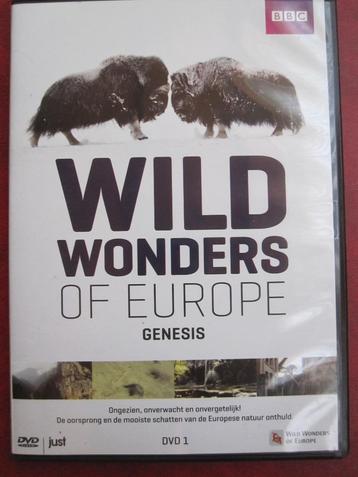 Wild Wonders of Europa - Genesis beschikbaar voor biedingen