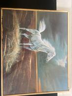 Klassiek Schilderij: Wit Paard in landschap., Antiek en Kunst, Ophalen