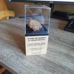 meteoriet op houten standaard - Al haggounia 001, Ophalen of Verzenden, Mineraal