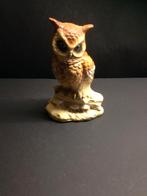 Uil nr. 6 Van verzameling Uilen (zie overige advertenties), Ophalen of Verzenden, Gebruikt, Dier