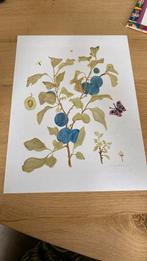 Aquarel van janneke Brinkman  handgesigneerd, Antiek en Kunst, Ophalen of Verzenden