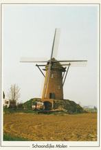 SCHOONDIJKE Molen, Verzamelen, Ansichtkaarten | Nederland, Verzenden, 1980 tot heden, Ongelopen, Zeeland