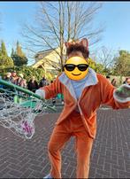 Loopgroepje 2 oranje kattenpakken., Tickets en Kaartjes, Eén persoon, Overige typen