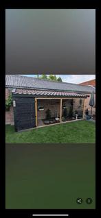 Parkieten Volière hulp gevraagd, Meerdere dieren, Parkiet