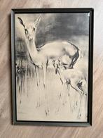 2 x H van Meegeren tekeningen hert - ree zwart wit kleur, Antiek en Kunst, Kunst | Tekeningen en Foto's, Ophalen of Verzenden
