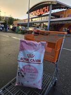 Nieuwe kitten brokken, Dieren en Toebehoren, Ophalen, Nieuw