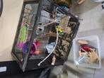 Vogelhok. Gebruikt ala ratten hok., Dieren en Toebehoren, Knaagdieren en Konijnen | Hokken en Kooien, Ophalen of Verzenden, Gebruikt
