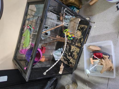 Vogelhok. Gebruikt ala ratten hok., Dieren en Toebehoren, Knaagdieren en Konijnen | Hokken en Kooien, Gebruikt, Kooi, 90 cm of meer