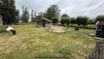 24/7 buiten stalling aangeboden voor kleine pony beschikbaar voor biedingen