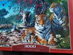 Castorland puzzel 3000 stukjes 'Tiger Sanctuary', Hobby en Vrije tijd, Denksport en Puzzels, Ophalen of Verzenden, Legpuzzel, Meer dan 1500 stukjes