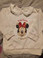 Trui minnie mouse maat 92, Ophalen of Verzenden, Gebruikt, Disney, Meisje