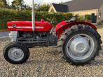 Massey Ferguson 135 Diesel - 1971, Zakelijke goederen, Ophalen, Gebruikt, Tot 80 Pk, 5000 tot 7500