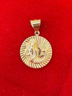 Prachtige 14 karaats gouden waterman sterrenbeeld hanger, Ophalen of Verzenden, Goud, Overige voorstellingen
