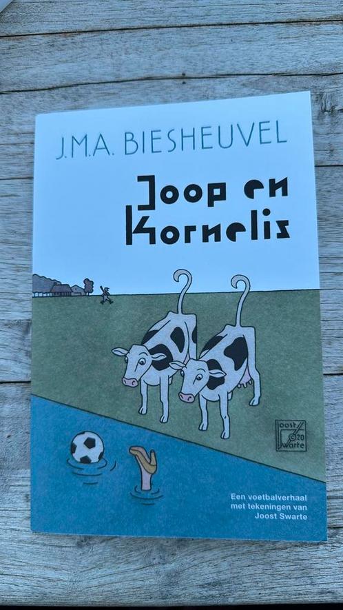 Joop en Kornelis, Biesheuvel & Joost Swarte, Boeken, Kunst en Cultuur | Fotografie en Design, Zo goed als nieuw, Ophalen of Verzenden