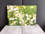 Canvas bloemen geel, Ophalen of Verzenden
