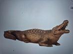 Richmond showmodellen crocodile, Ophalen, Nieuw