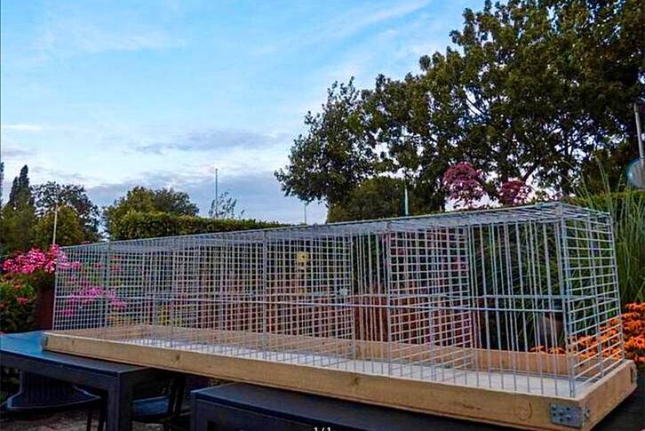 Tentoonstelling vogelkooi., Dieren en Toebehoren, Vogels | Hokken en Kooien, Vogelkooi, Hout, Ophalen of Verzenden