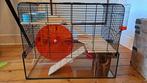 Hamster kooi kleine knaagdieren benodigdheden, Dieren en Toebehoren, Knaagdieren en Konijnen | Toebehoren, Ophalen of Verzenden
