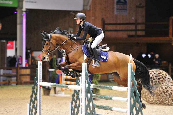 Springpaard te koop / Leuke merrie, Dieren en Toebehoren, Paarden, Merrie, 160 tot 165 cm, 11 jaar of ouder, Springpaard, Met stamboom