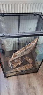 Terarium, Dieren en Toebehoren, Reptielen en Amfibieën | Toebehoren, Ophalen, Gebruikt