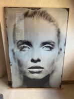 Gazing Still 120x180cm plexiglas, Ophalen, Zo goed als nieuw, Foto of Poster, 75 cm of meer