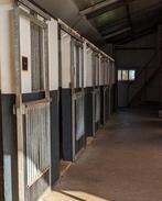 Stalling gezocht, Dieren en Toebehoren, Stalling en Weidegang, Stalling