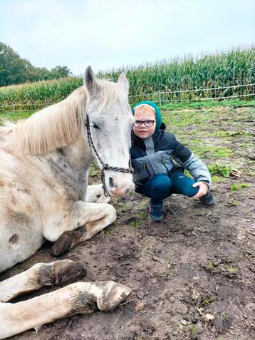 bijrijder/ leaser beschikbaar voor biedingen