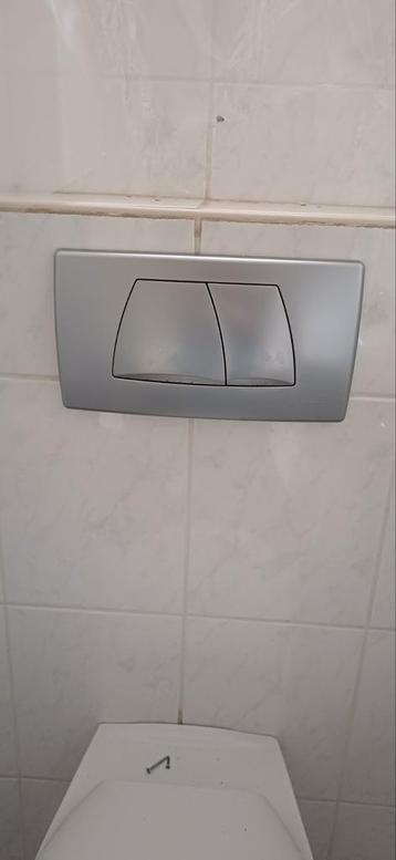 Geberit Drukplaat WC - t.e.a.b. beschikbaar voor biedingen