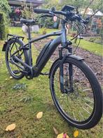 Flyer 5.23 Speed E-bike, Overige merken, Gebruikt, Ophalen of Verzenden, 50 km per accu of meer