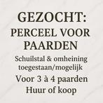 Perceel gezocht voor 3 paarden regio Velsen e.o. (huur/koop), Dieren en Toebehoren, Stalling en Weidegang