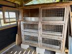 Groot konijnenhok / konijnenflat zes of drie hokken, Dieren en Toebehoren, Knaagdieren en Konijnen | Hokken en Kooien, 110 cm of meer