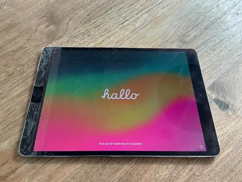 Apple iPad Pro 10.5 (2017) WiFi 256GB Grijs SCHERM KAPOT, Computers en Software, Apple iPads, Gebruikt, Apple iPad, 10 inch, Ophalen