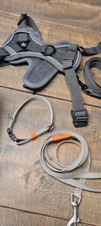 Puppy, kleine hond, riem/tuig/regenjas en tas., Dieren en Toebehoren, Ophalen of Verzenden, Zo goed als nieuw