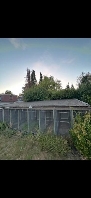 Voilere GRATIS beschikbaar voor biedingen