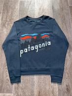 Patagonia Sweater Maat M, Maat 38/40 (M), Blauw, Vintagie, Haulerwijk