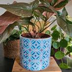 Bloempot gekleurd mozaiek motief | planten pot met print, Tuin en Terras, Bloempotten, Verzenden, Rond, Aardewerk, Minder dan 40 cm