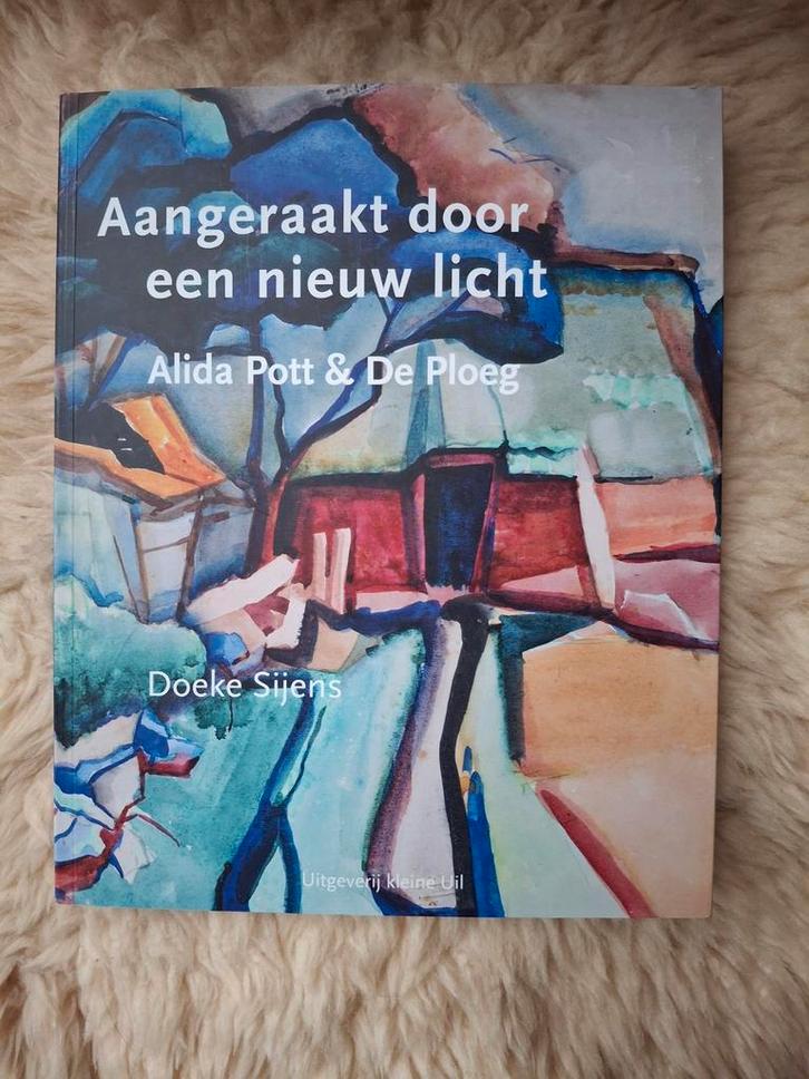 Aangeraakt door een nieuw licht, Alida Pott & De Ploeg, Boeken, Kunst en Cultuur | Beeldend, Zo goed als nieuw, Schilder- en Tekenkunst