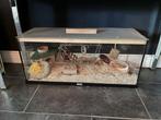 Hamster verblijf zgan, Dieren en Toebehoren, Minder dan 60 cm, Ophalen of Verzenden, Zo goed als nieuw, Hok